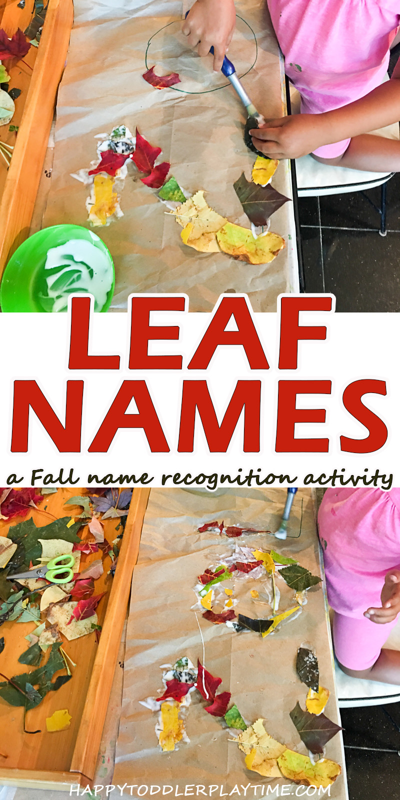 leaf name activity fine motor activity for toddlers and preschoolers