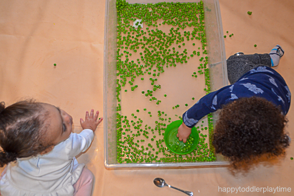 green pea sensory bin for toddlers and preschoolers