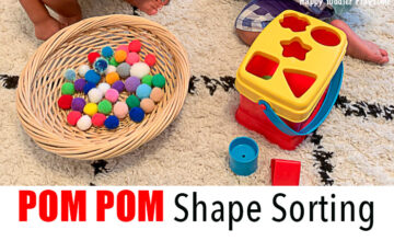 A Pom Pom shape sorting activity