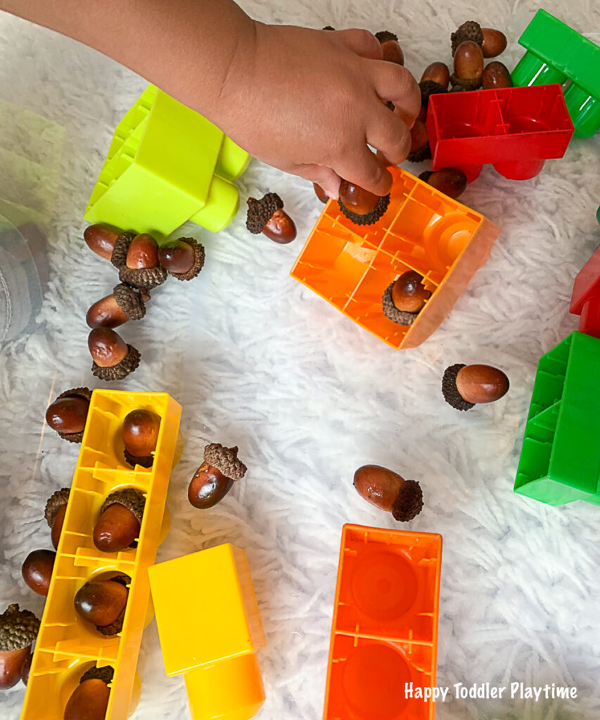 ACORN COUNTING a Fall activity for Toddlers 
