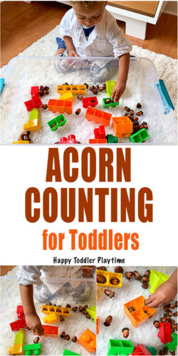 24+ Acorn Crafts Activities for Toddlers & Preschoolers - Happy Toddler ...