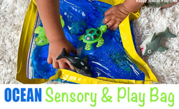 Ocean sensory and play bag for toddlers and preschoolers