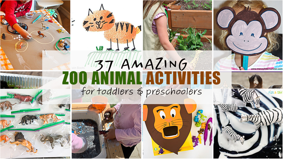 37 Amazing Zoo Animal Activities - Happy Toddler Playtime