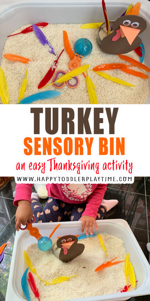 turkey sensory bin