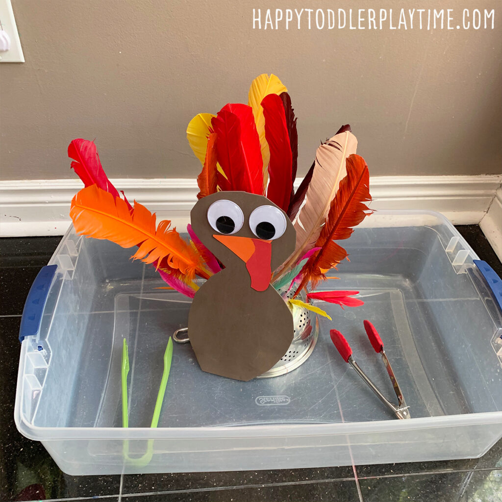 pluck the feather fine motor thanksgiving activity 