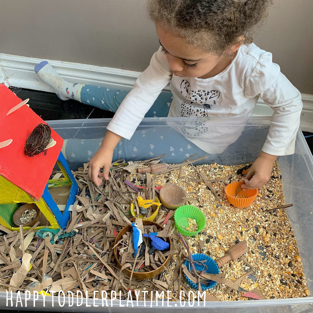 Beautiful Birds Sensory Bin for Kids Happy Toddler Playtime
