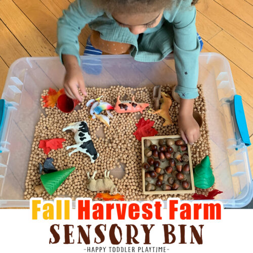 Fall Harvest Farm Sensory Bin - Happy Toddler Playtime