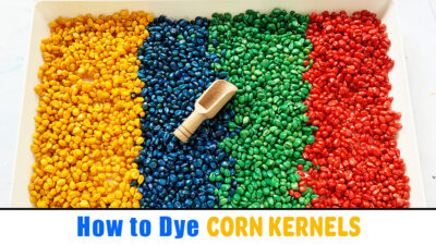How to Dye Corn Kernels for Sensory Play - Happy Toddler Playtime