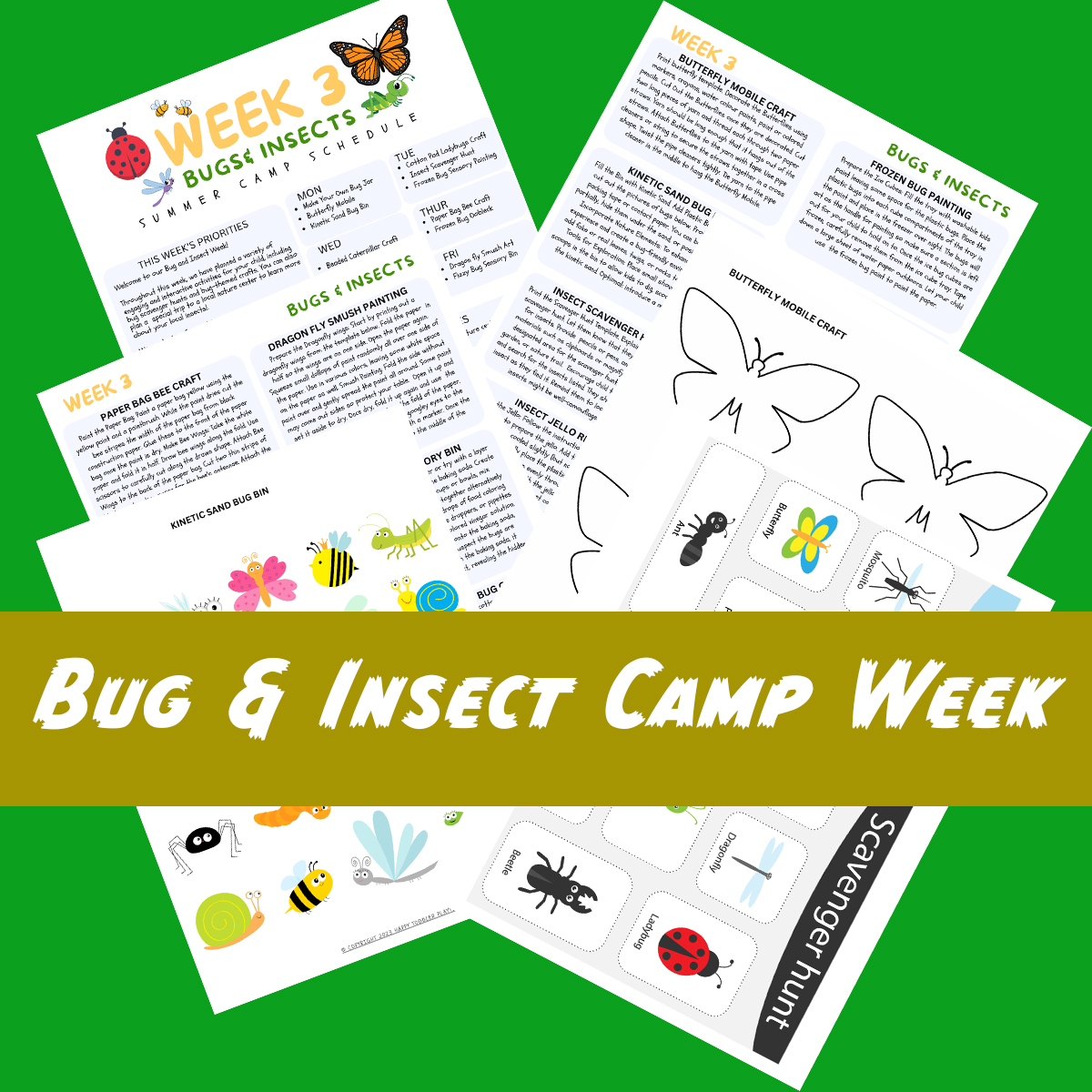 Bug & Insect Camp Week