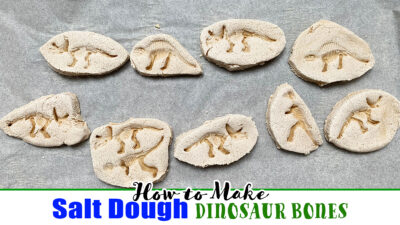 How to Make Salt Dough Dinosaur Fossils - Happy Toddler Playtime