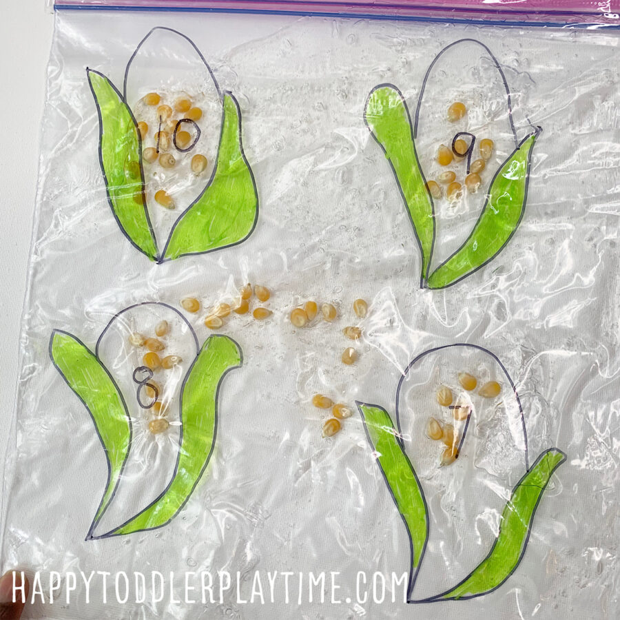 Hands-on Fall Preschool Math Activities - Happy Toddler Playtime