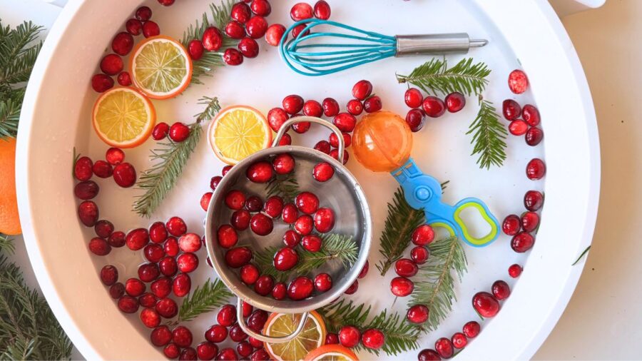 Cranberry Orange Christmas Sensory Bin - Happy Toddler Playtime