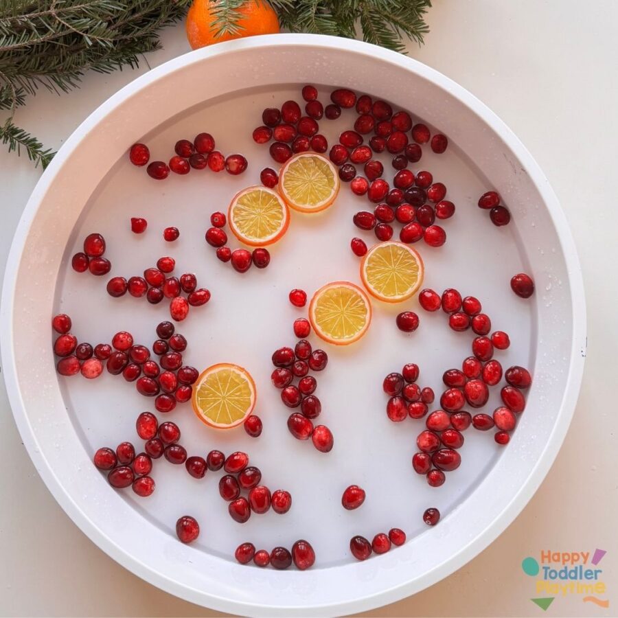 Cranberry Orange Christmas Sensory Bin - Happy Toddler Playtime