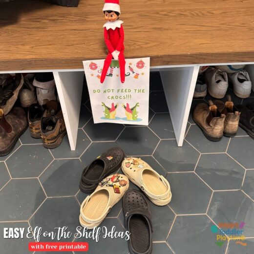 Cool Don T Feed The Crocs Elf Pictures