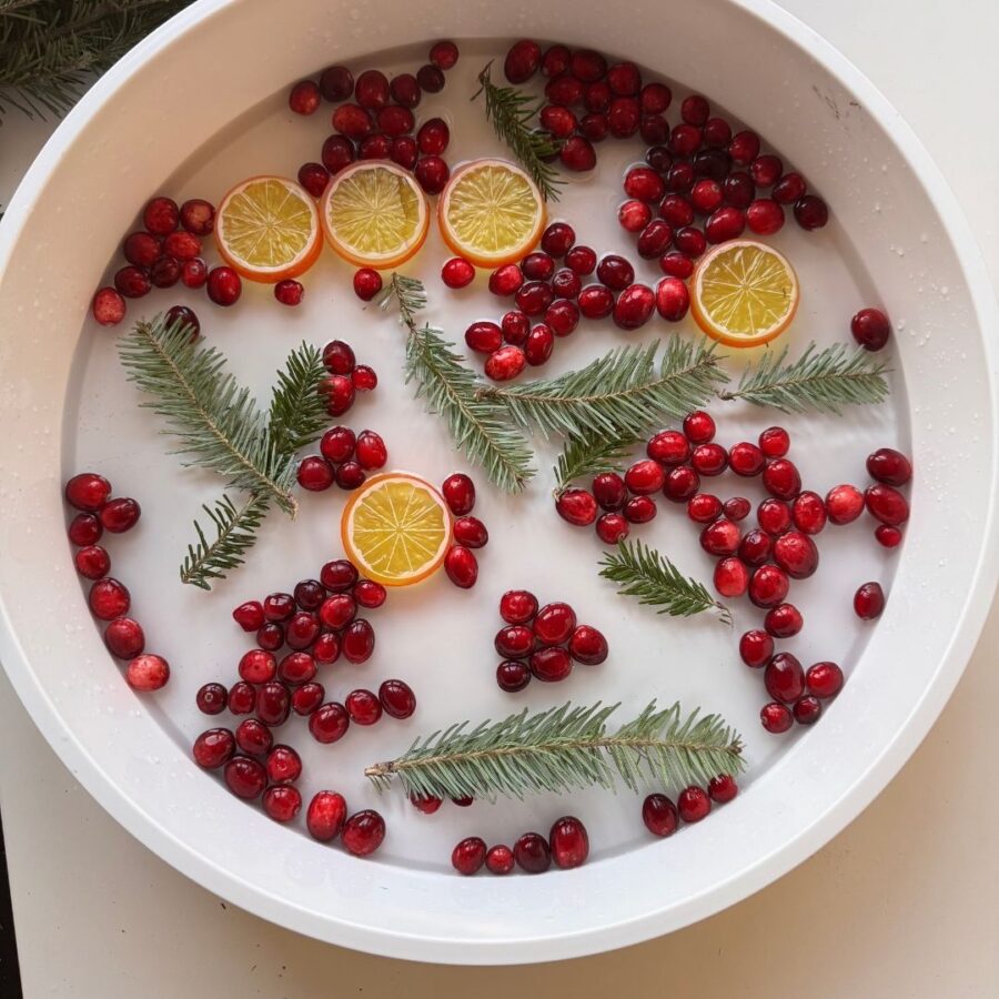 Cranberry Orange Christmas Sensory Bin - Happy Toddler Playtime