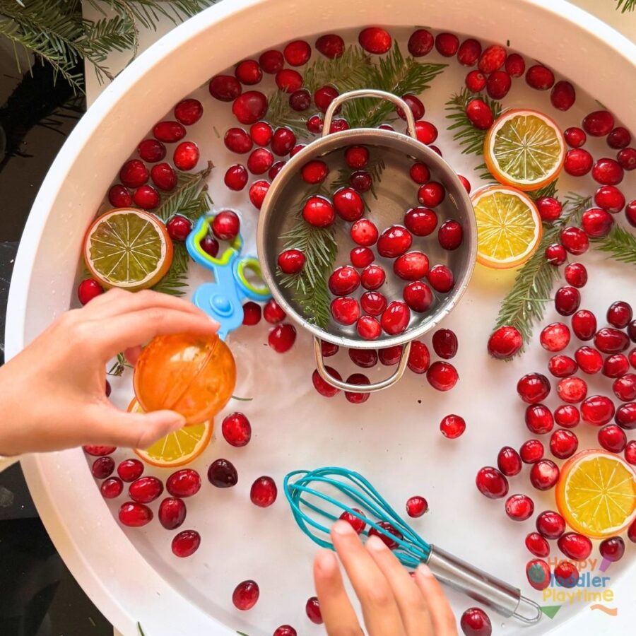 Cranberry Orange Christmas Sensory Bin - Happy Toddler Playtime