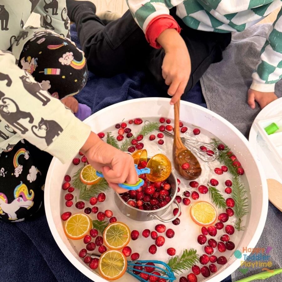 Cranberry Orange Christmas Sensory Bin - Happy Toddler Playtime