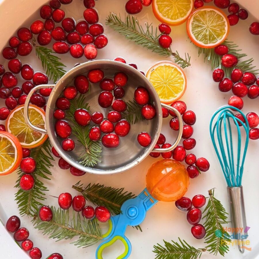 Cranberry Orange Christmas Sensory Bin - Happy Toddler Playtime