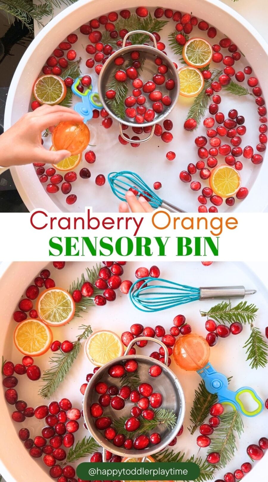 Cranberry Orange Christmas Sensory Bin - Happy Toddler Playtime